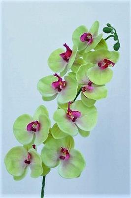 FIORE RAMO ORCHIDEA 9FIORI COLORE GREEN