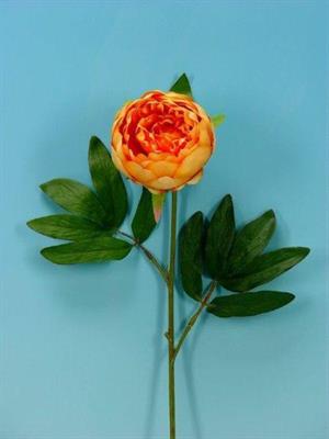 FIORE PEONIA SINGOLO COL. ARANCIO