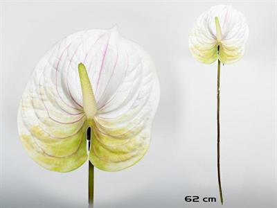 FIORE ANTHURIUM 62CM COLORE BIANCO