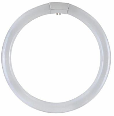 LAMPADINA CIRCOLINA G10Q 22W 6500K 1050LUMEN TRIFOSFORI