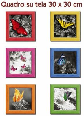 QUADRO TELA 30X30CM BUTTERFLY 6 IMMAGINI ASS.