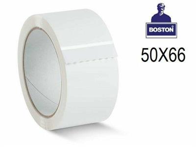 SCOCC ADESIVO 50X66 BIANCO ART. 101 109