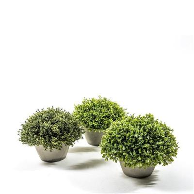 PIANTA VERDE IN VASO D. 20 X H 17 CM ASS