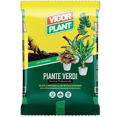 TERRICCIO PIANTE VERDI 10 LT