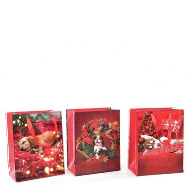 BUSTA NATALIZIA 32 X 10,5 X H 44,5 CM ASS