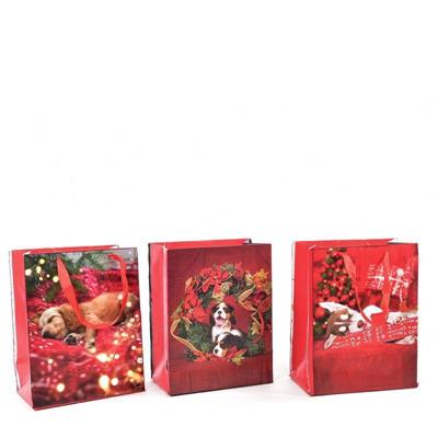 BUSTA NATALIZIA 44,5 X 10,5 XH 32,5 CM ASS