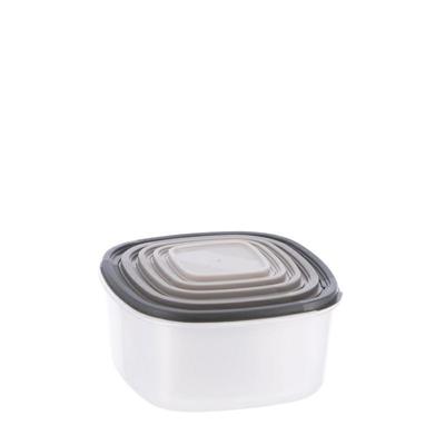 CONTENITORE IN PLASTICA CON COPERCHIO SET 5 PZ