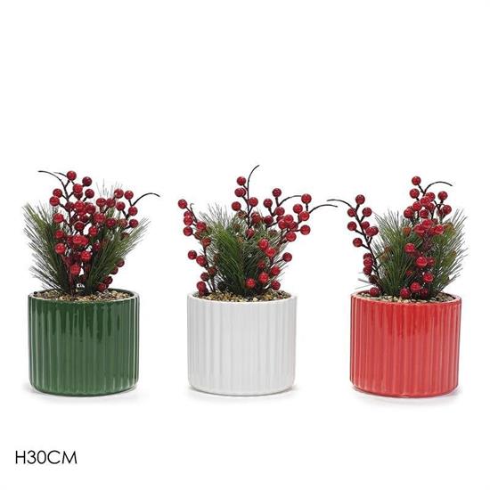 PIANTA NATALIZIA 30 CM ASS