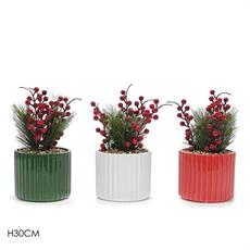 PIANTA NATALIZIA 30 CM ASS