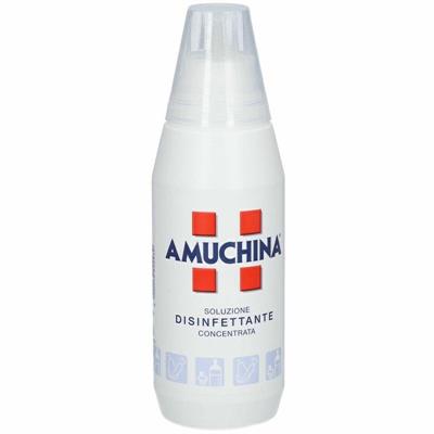 AMUCHINA DISINFETTANTE 500 ML + DISINFETTANTE MANI