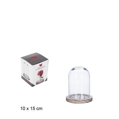 CAMPANA IN VETRO 10 X 15 CM