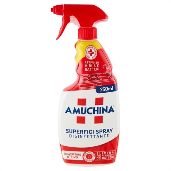 AMUCHINA SPRAY SGRASSATORE DISINFETTANTE CLASSIC 750 ML