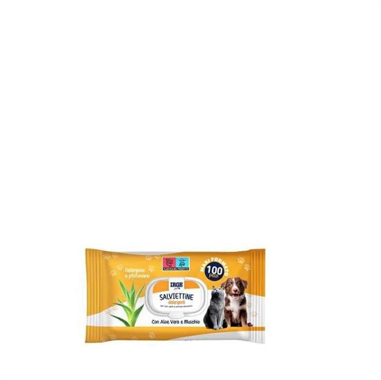 IRGE PET SALVIETTE DETERGENTI 100 PZ