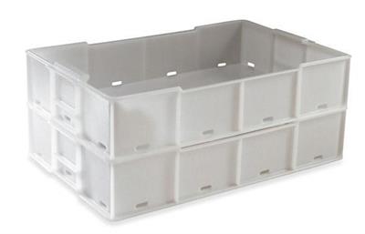BACINELLA PESCE FORATA 54X35X11h 16 lt NEUTRA