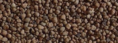 ARGILLA 20LT 8-20MM