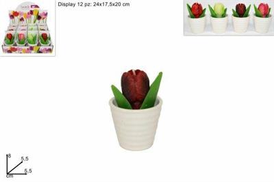 CANDELA FIORE TULIPANO CON VASO 5,5CM COLORI ASS.