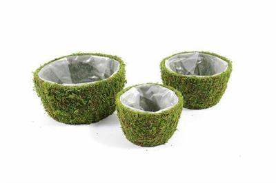 CASPO CESTO MUSCHIO SET 3PZ (D.24X11CM) (D.19X10CM) (D.15X9,